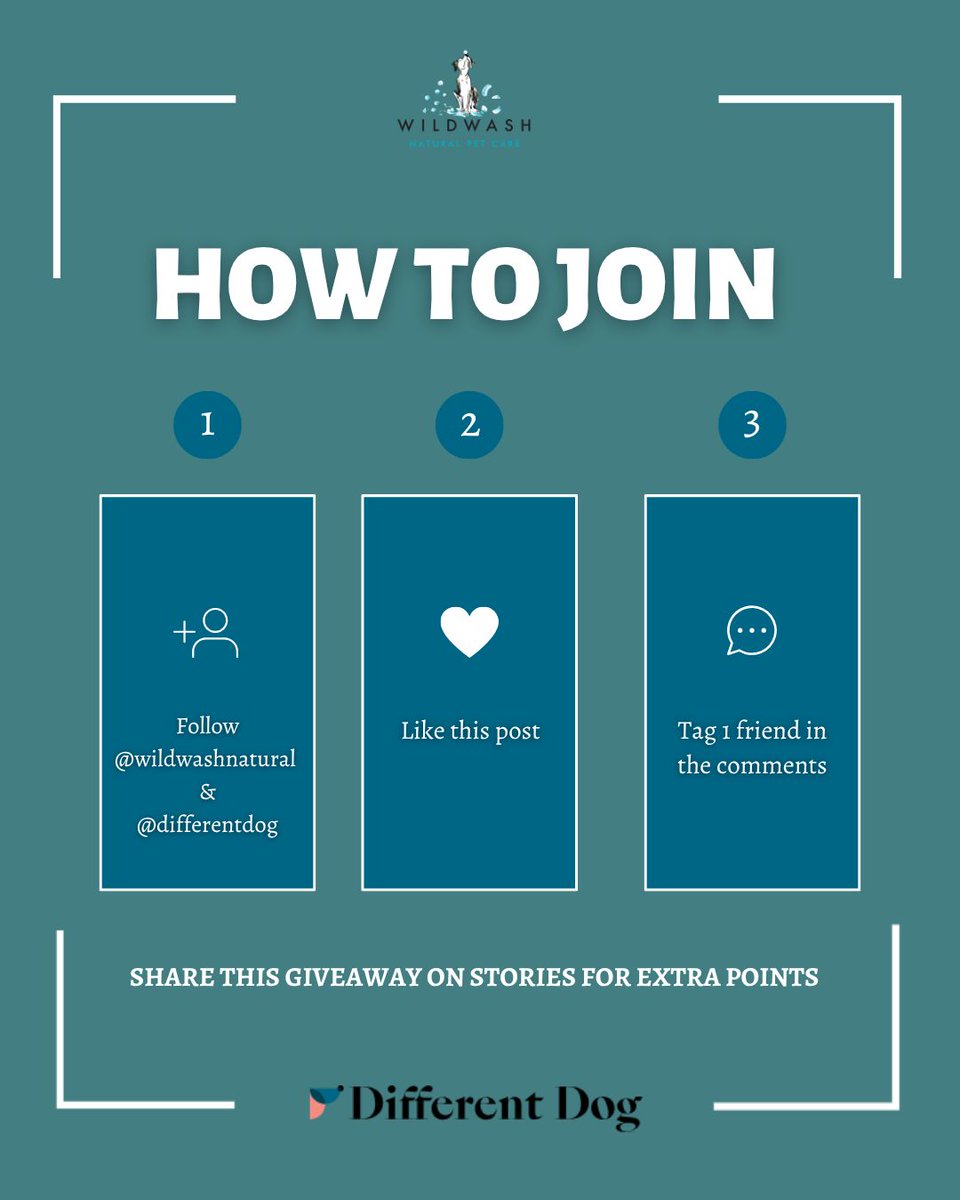 WildWash tweet media