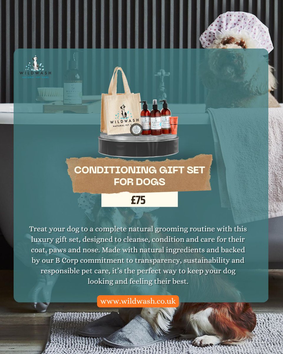 WildWash tweet media