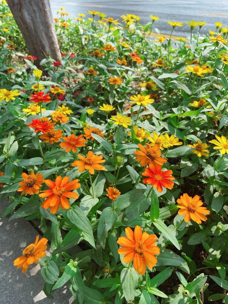 Matthew D Fischer tweet media