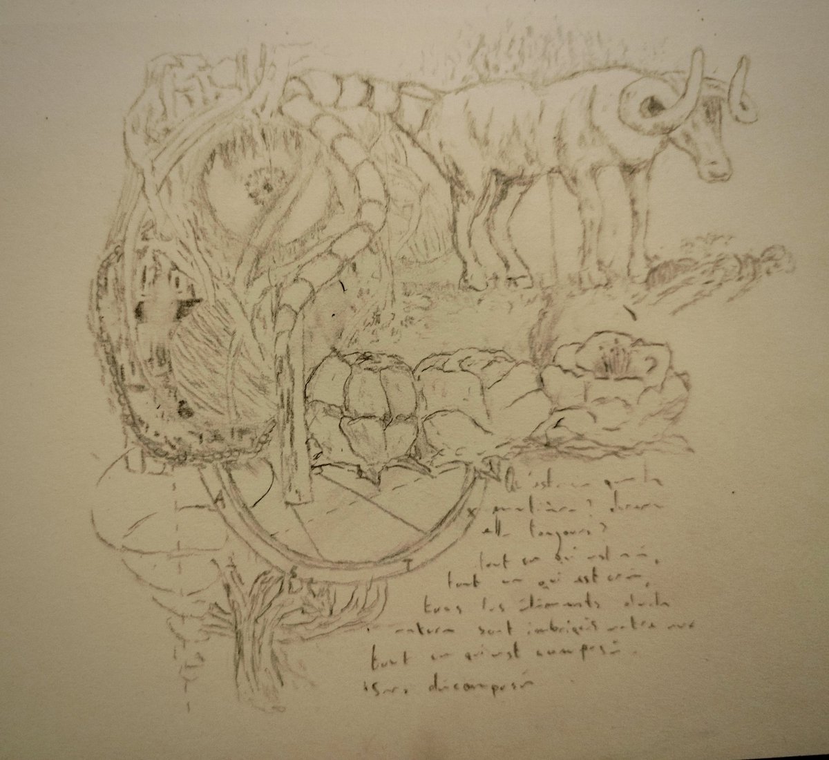 samterius🔨 tweet media