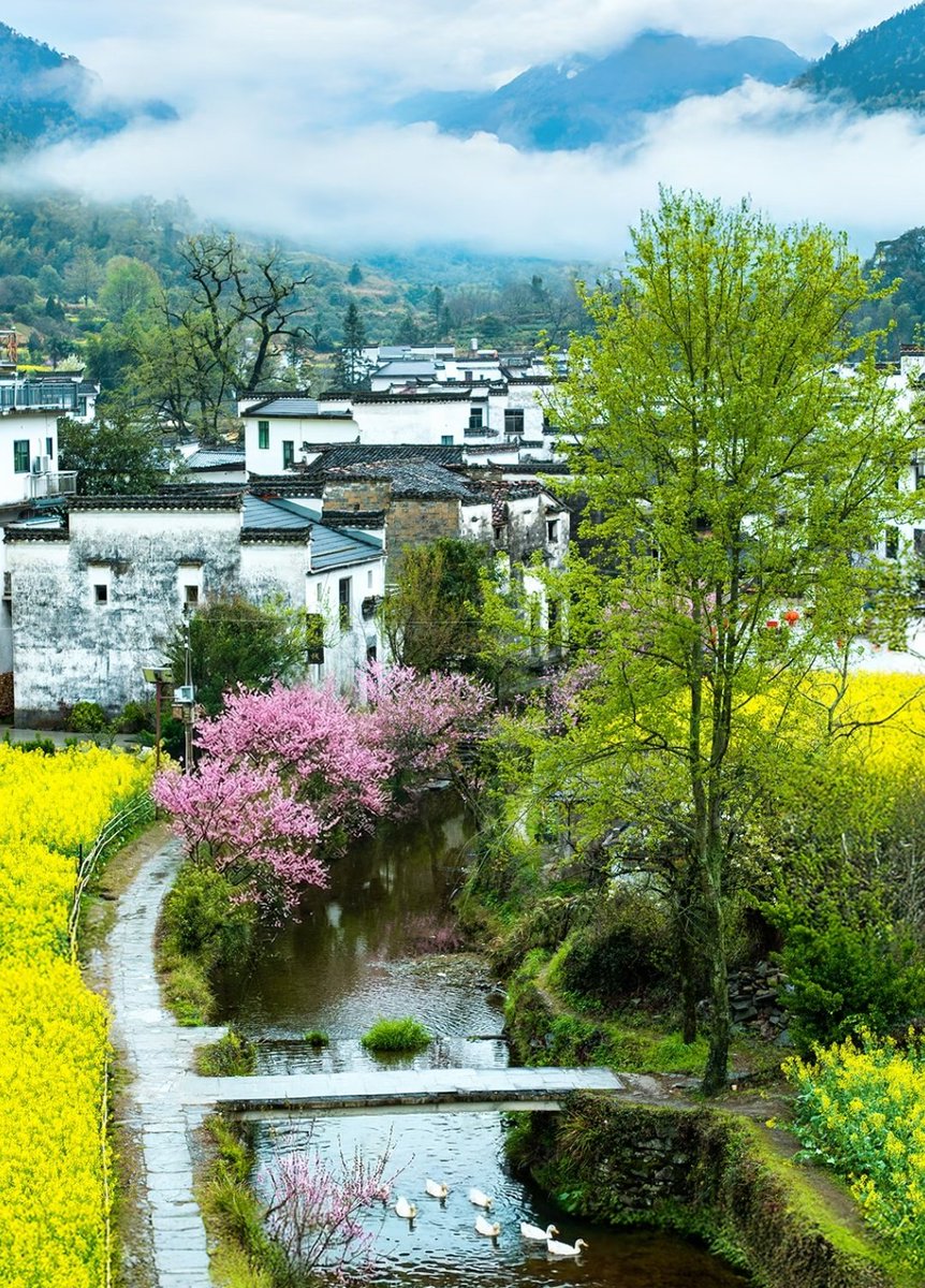 杜啦啦🇨🇳（互关互粉互fo） tweet media