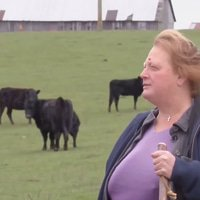 棚哥说加密 tweet media