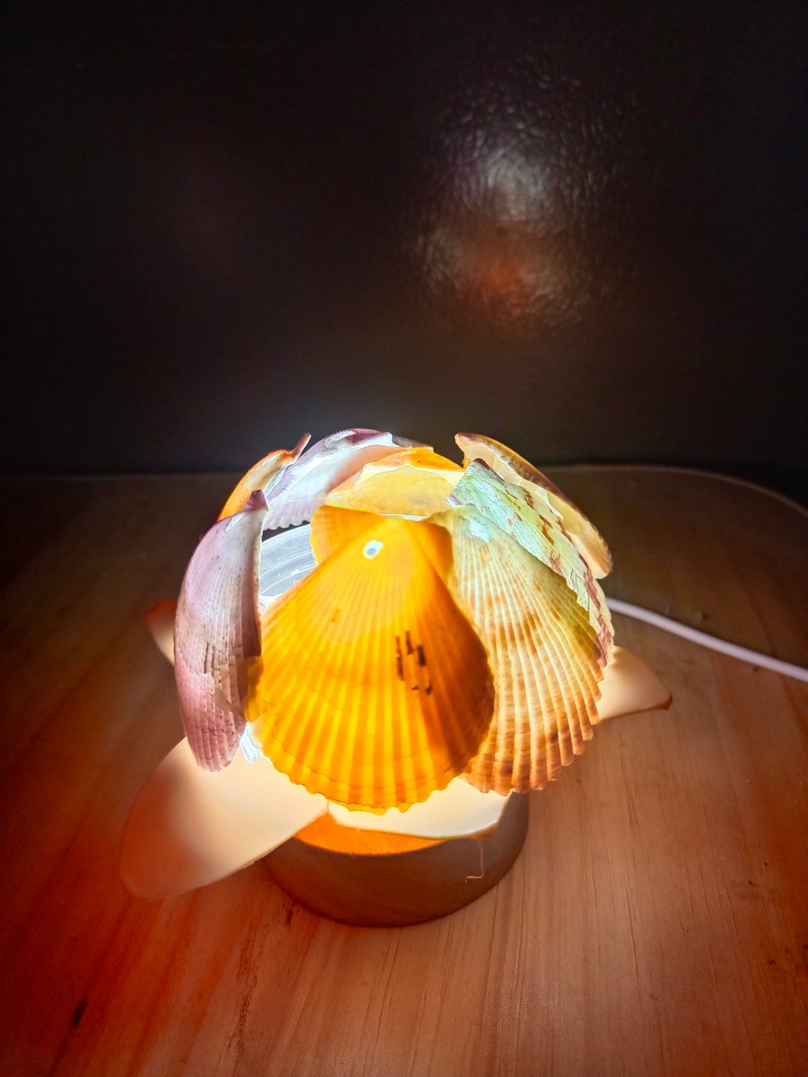 Robert Dorrin tweet media