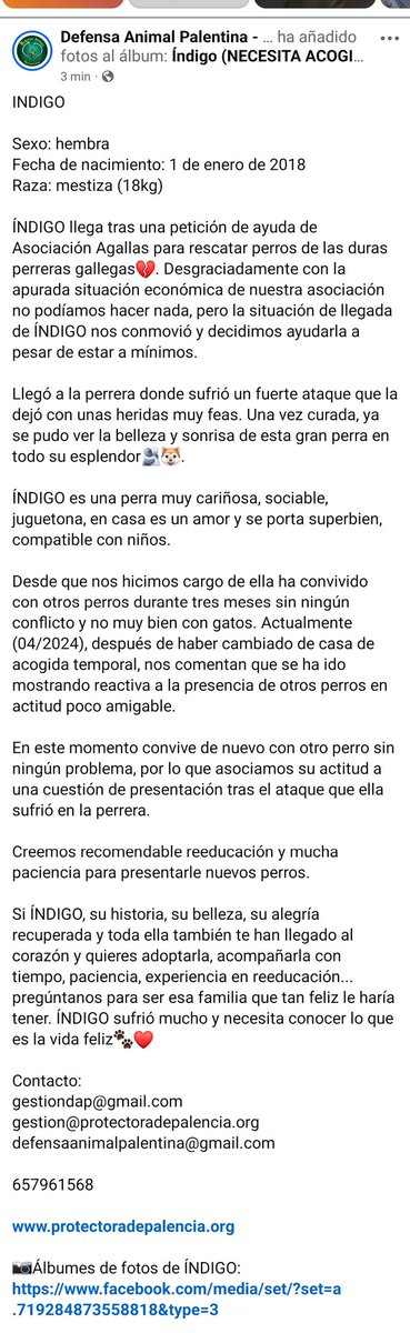 Defensa Animal Palentina tweet media