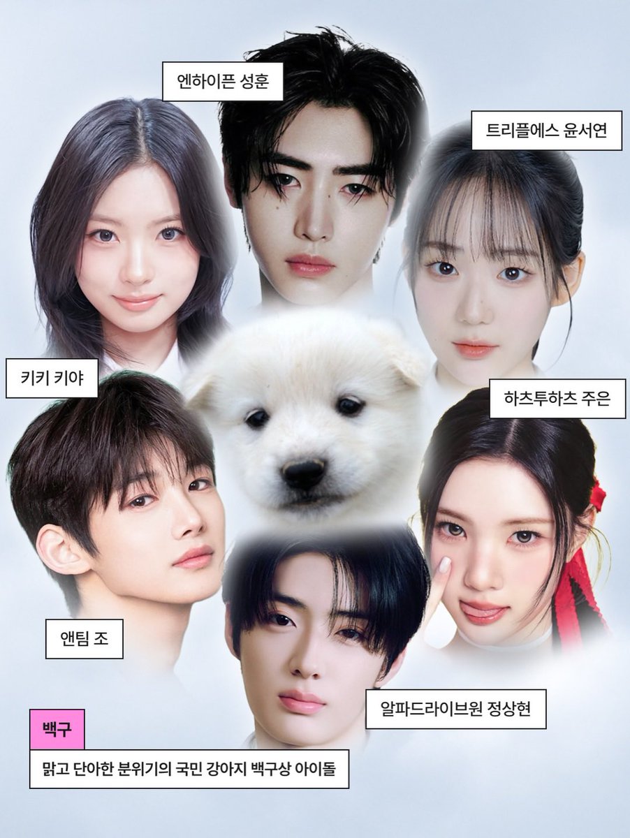 𝗦𝘂𝗹𝗹𝗮𝗲 tweet media