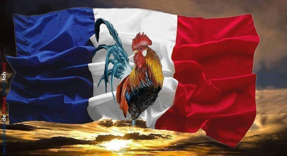 🇨🇵Nathalie Delalande🌿 tweet media