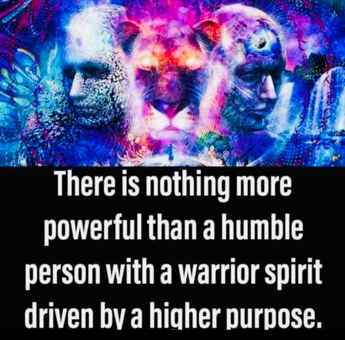 Joey dark 2 Light tweet media