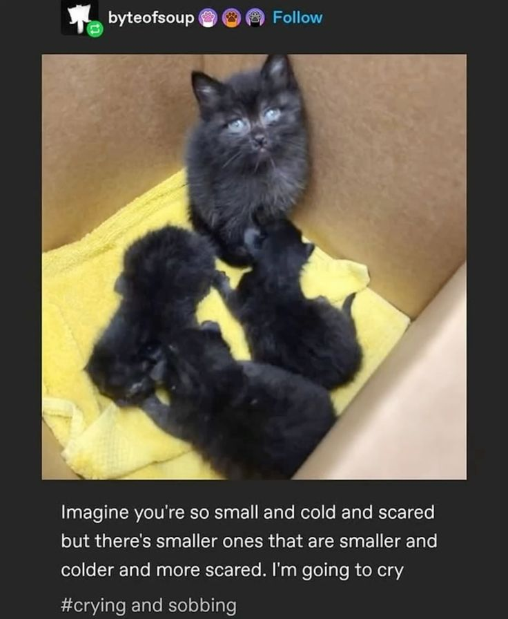 Brine🆖 tweet media