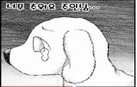 김형수 tweet media