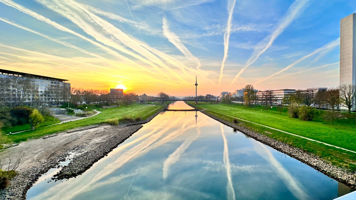 Dr. H 📯 tweet media