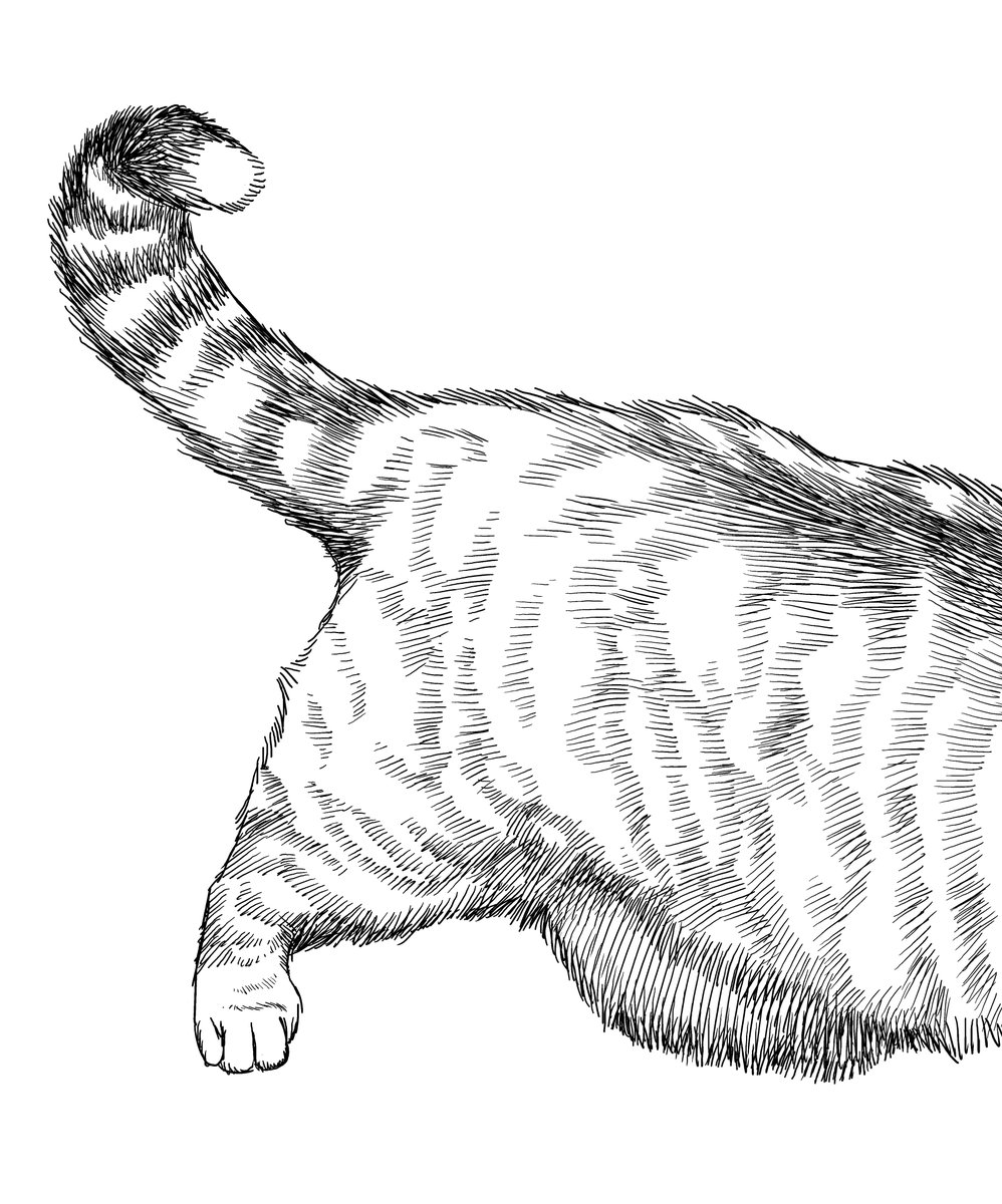 sato l 金田サト tweet media