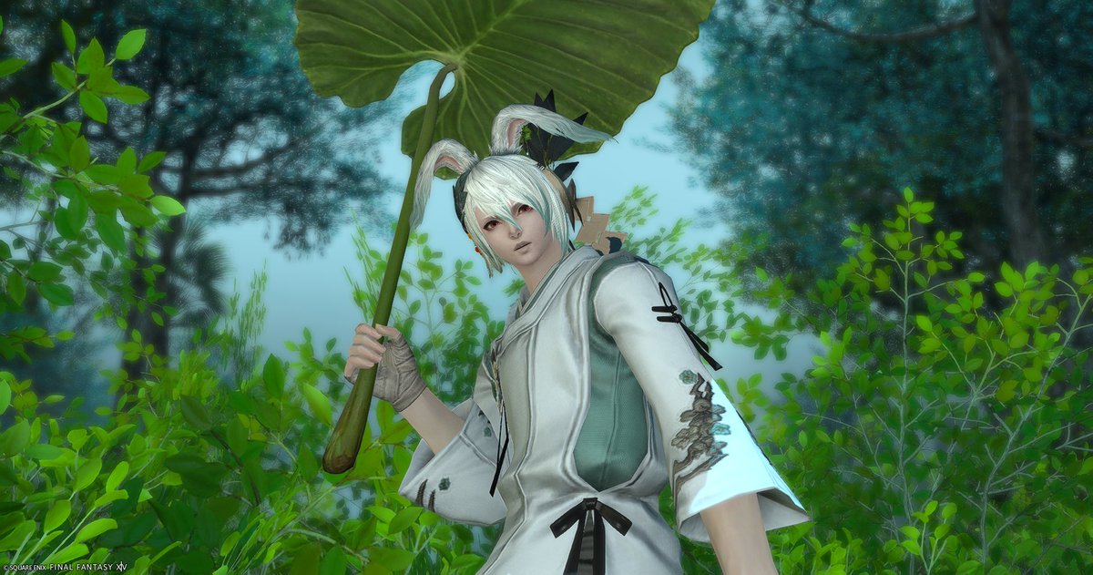 ゼル☽❂ tweet media