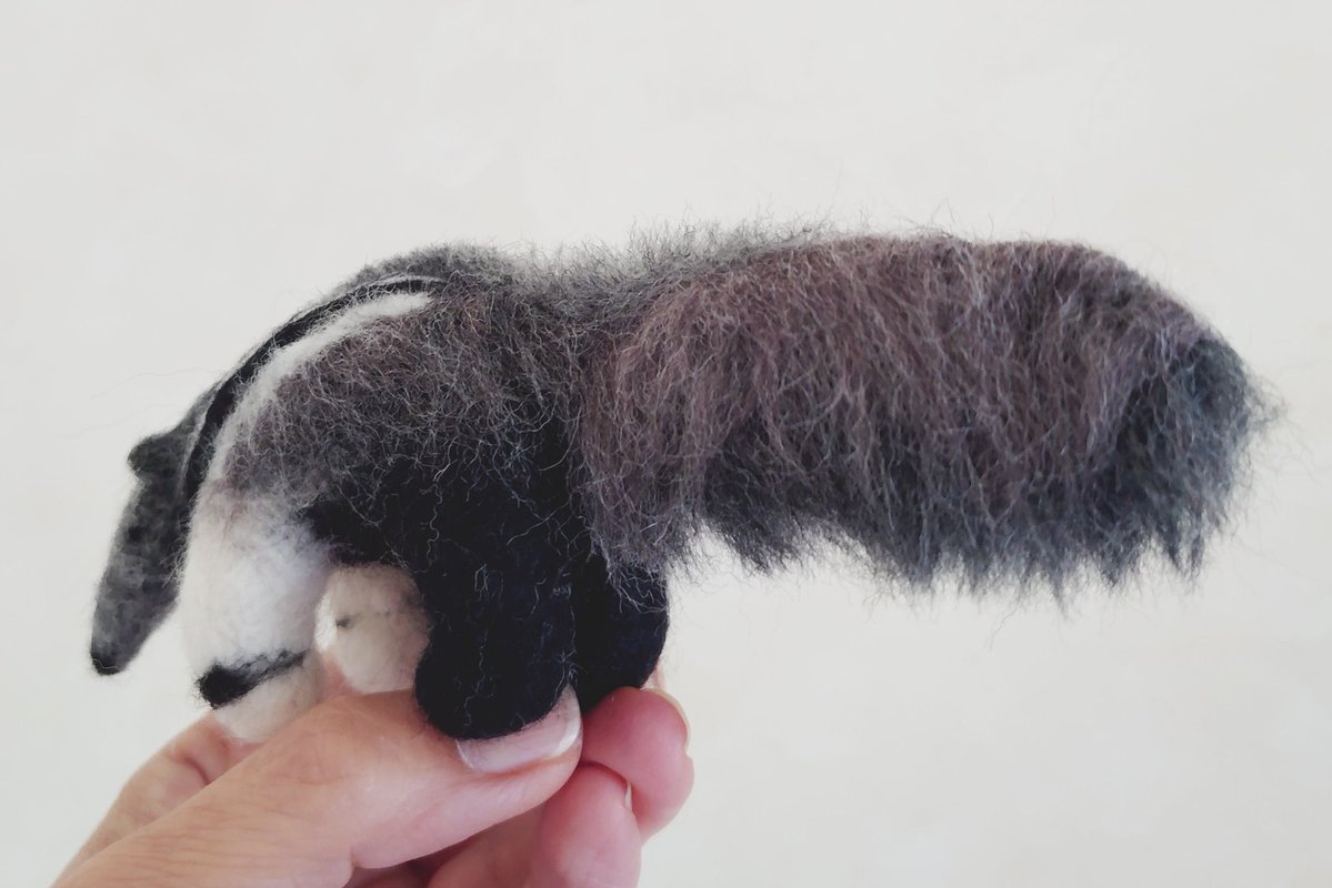 popococo(ぽぽここ) tweet media