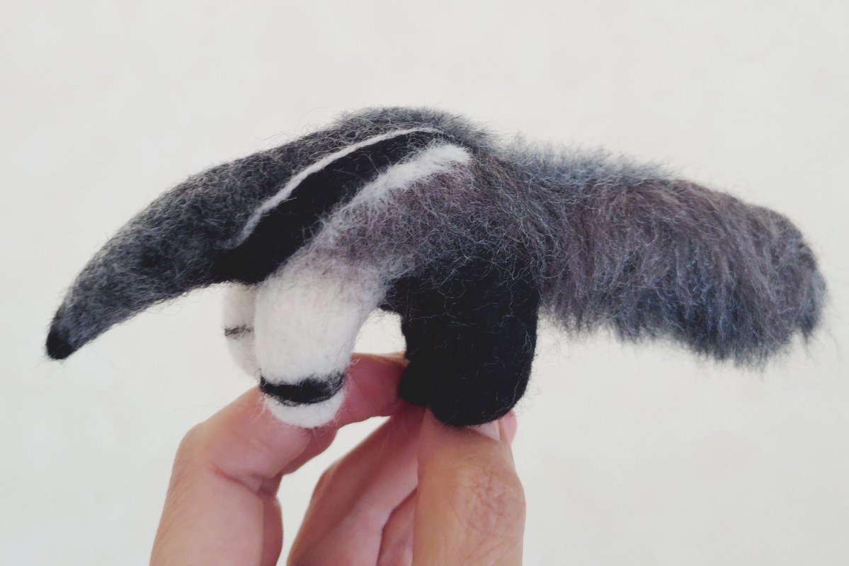 popococo(ぽぽここ) tweet media