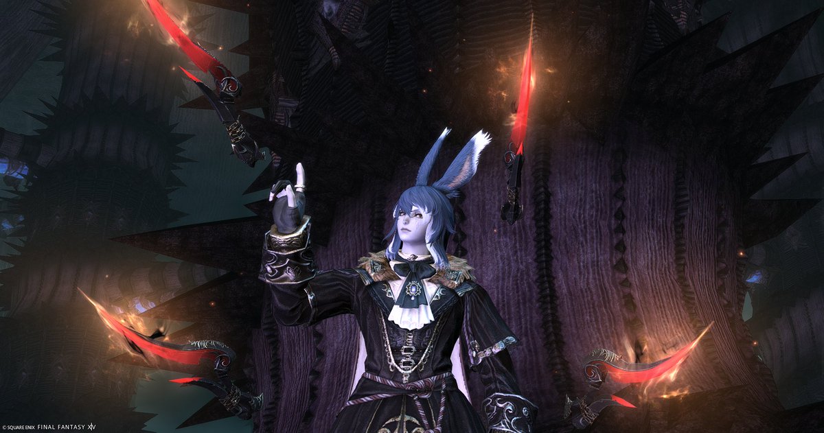 ゼル☽❂ tweet media