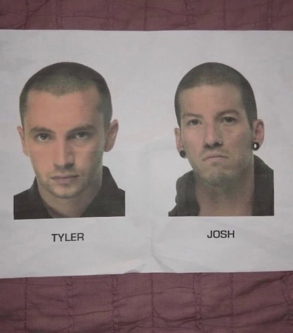 adrienne ⊬ SHAKY KNEES tweet media