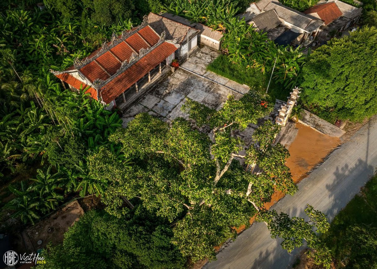 visithue2025's tweet photo. ĐÌNH LÀNG HẠ LANG - NÉT ĐẸP VĂN HÓA DÂN GIAN THUẦN VIỆT
===
Photos: Trương Gia Phước
---
#visithue #visithuevn #visithuevietnam https://t.co/aD89JCedJ5