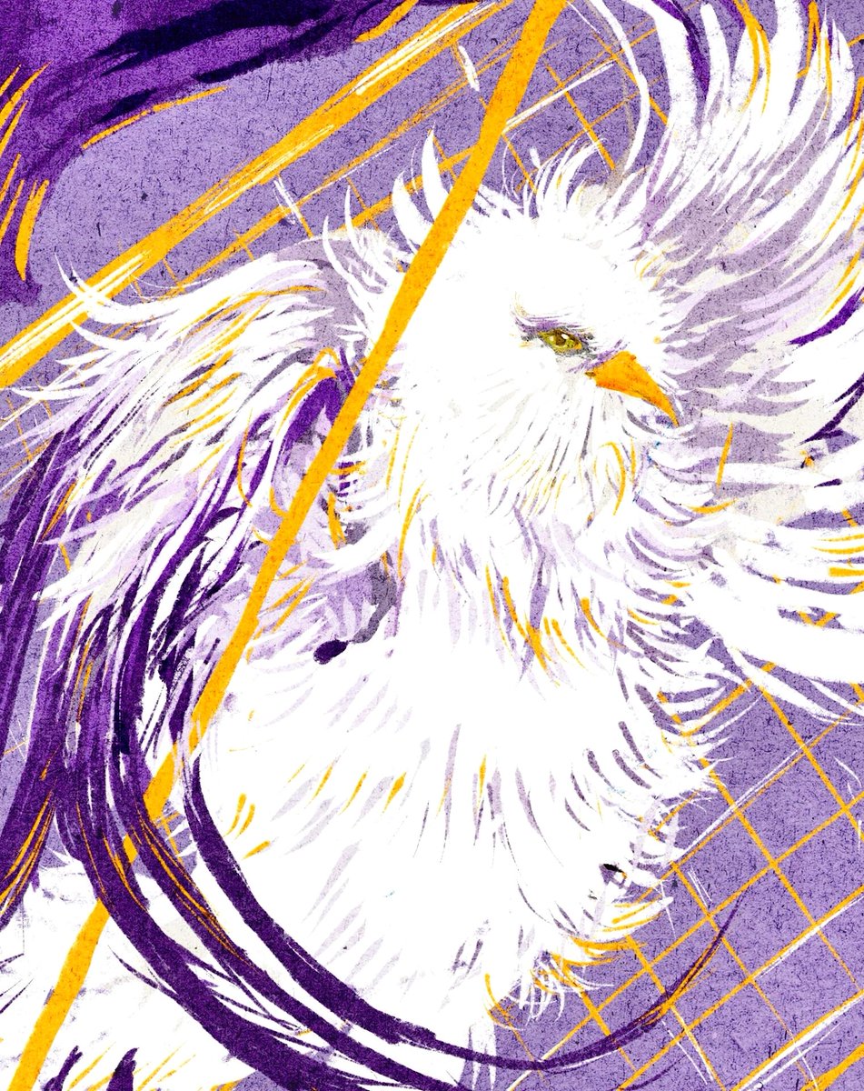 花衣癸 tweet media