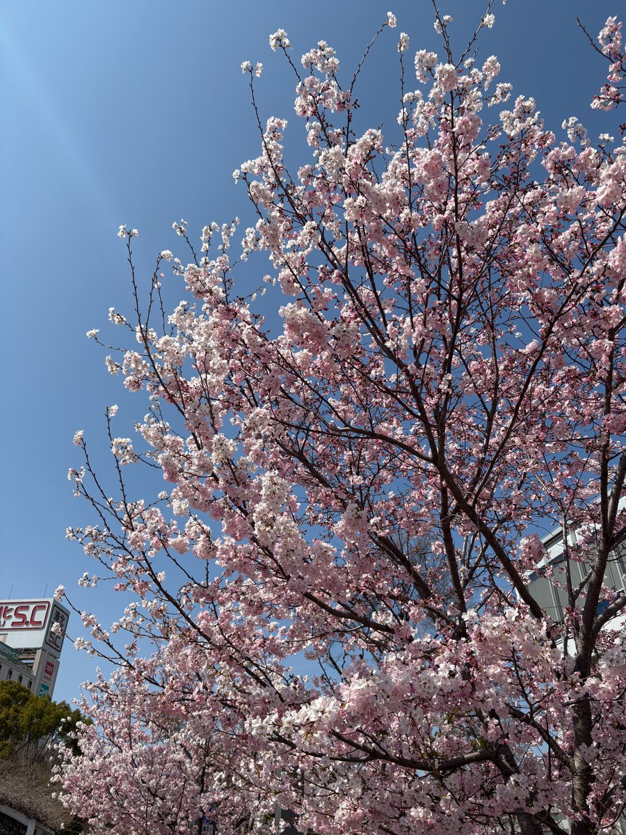 菊水電子工業株式会社 tweet media