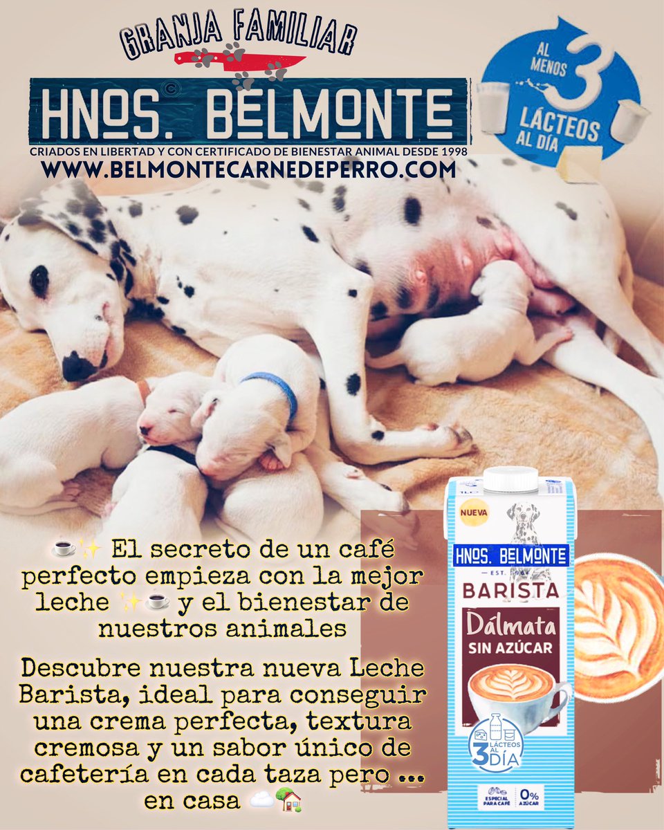 Belmonte Carne Ecológica de Perro tweet media