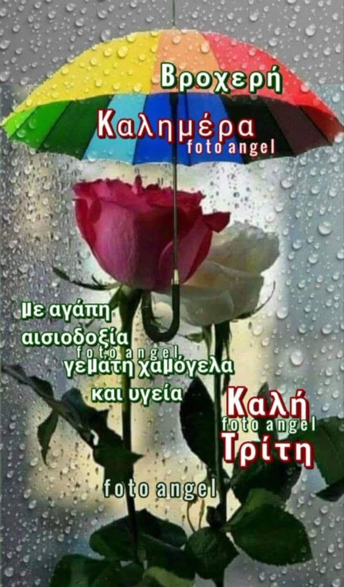 Rania Kouk tweet media