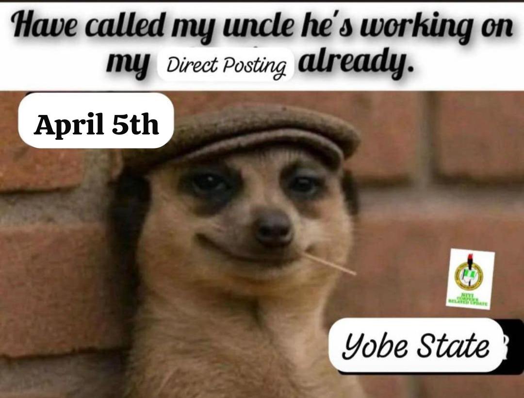 skillven tweet media