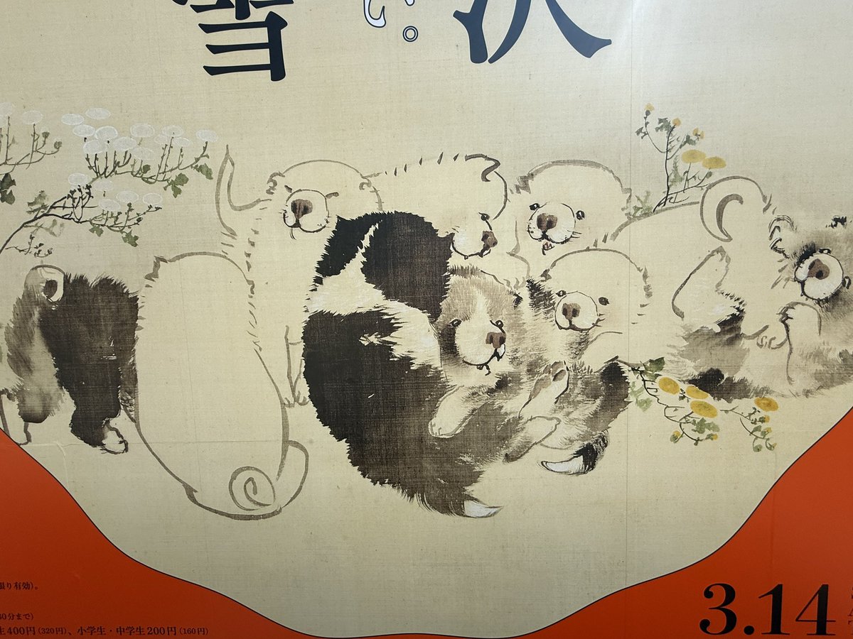 ゆいゆか🦦 tweet media