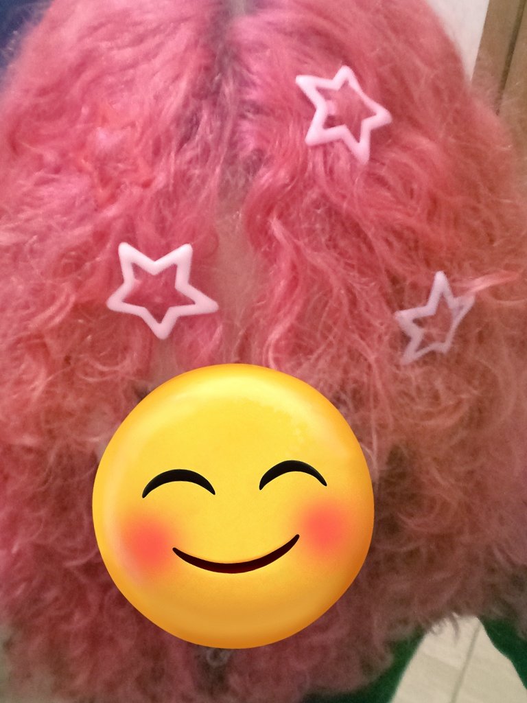 🍓୨୧Mir𖤐y୨୧🩷 tweet media