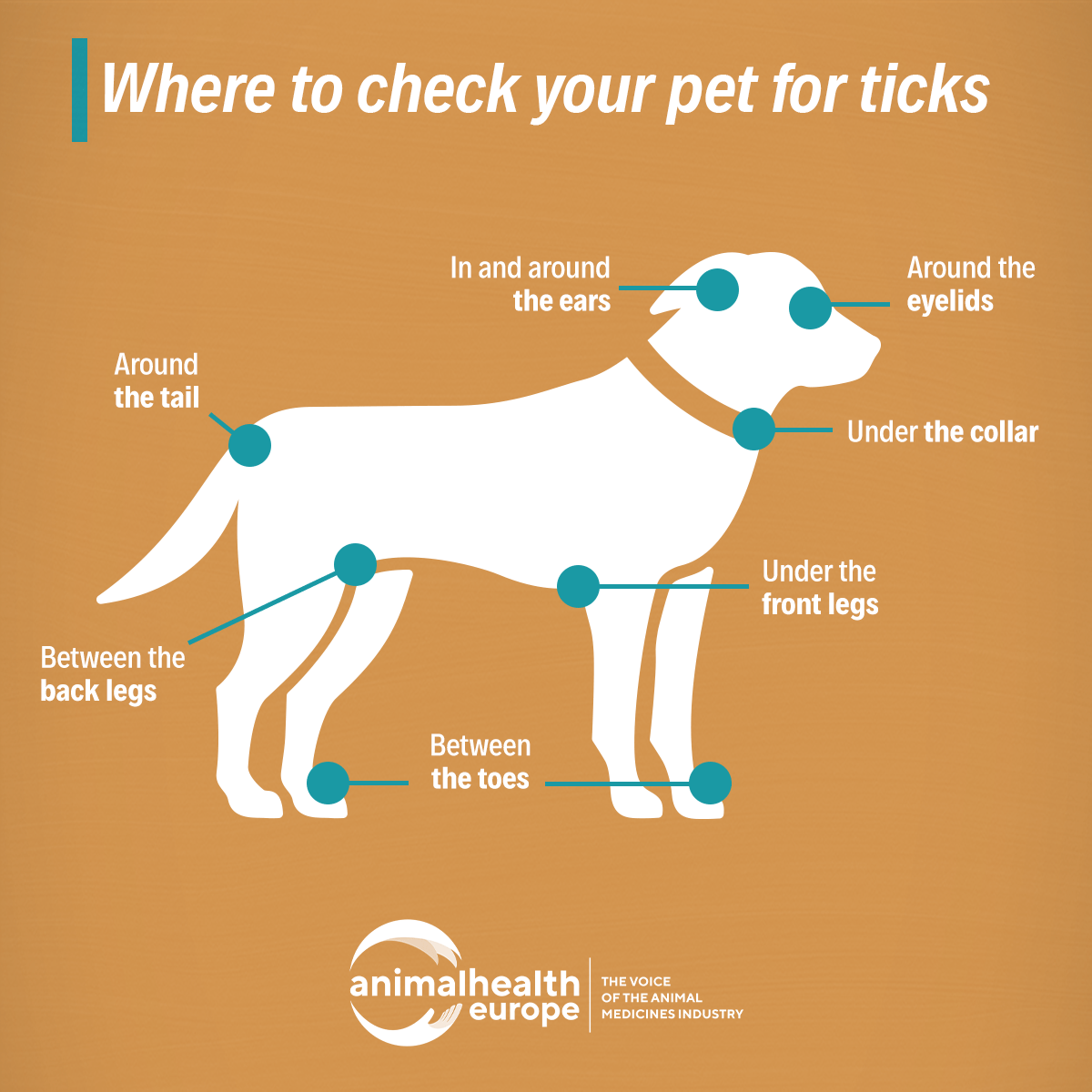 AnimalhealthEurope tweet media