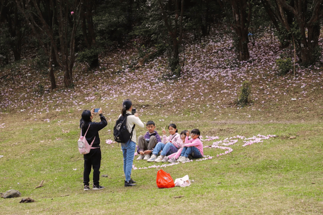 Don Eastep tweet media