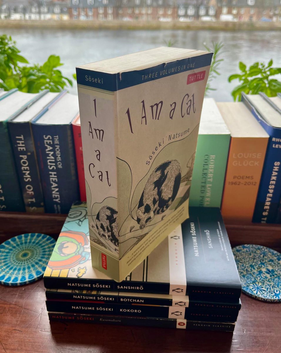 Dr David Vernon tweet media