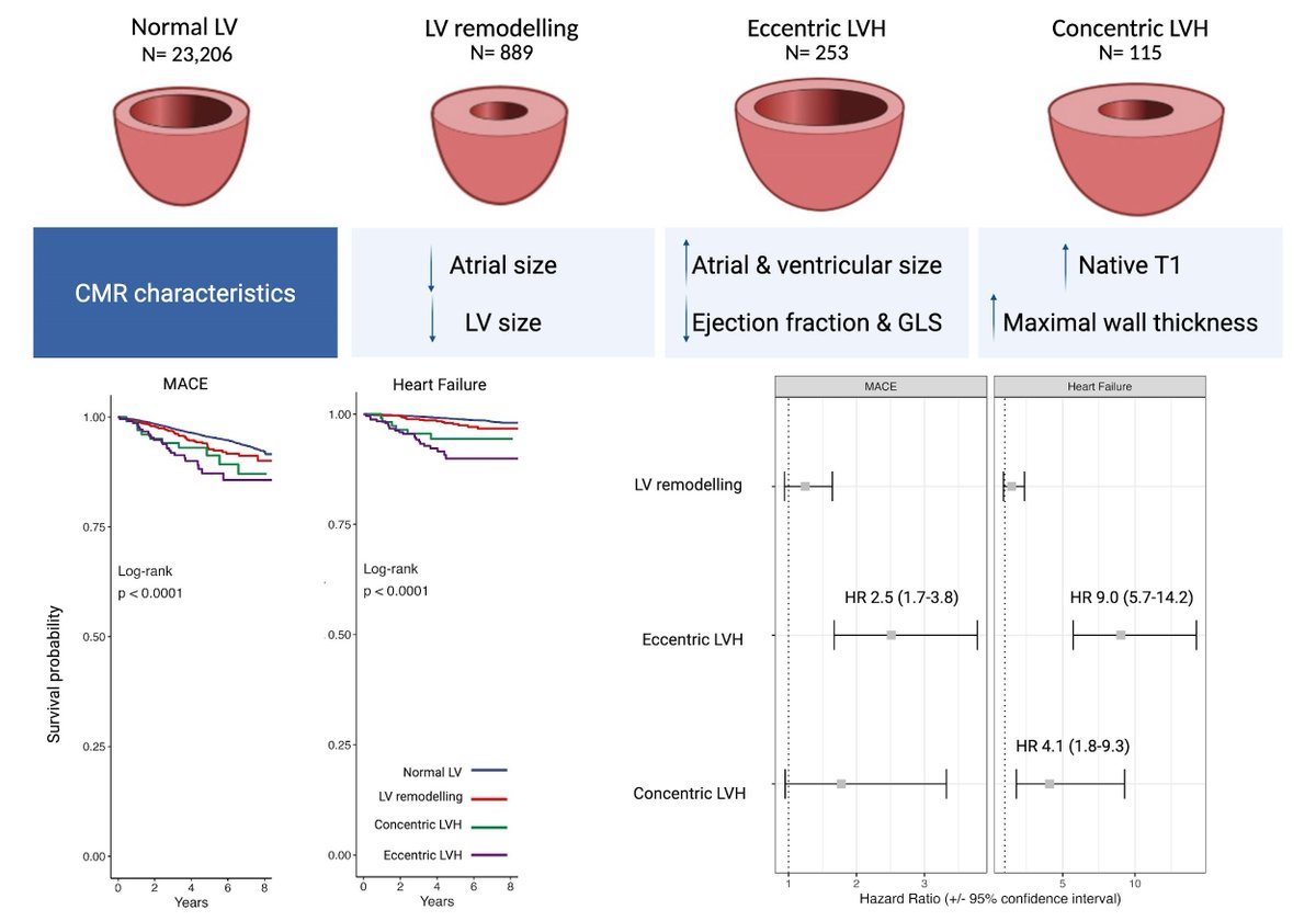 EHJ-IMP Editor-in-Chief tweet media