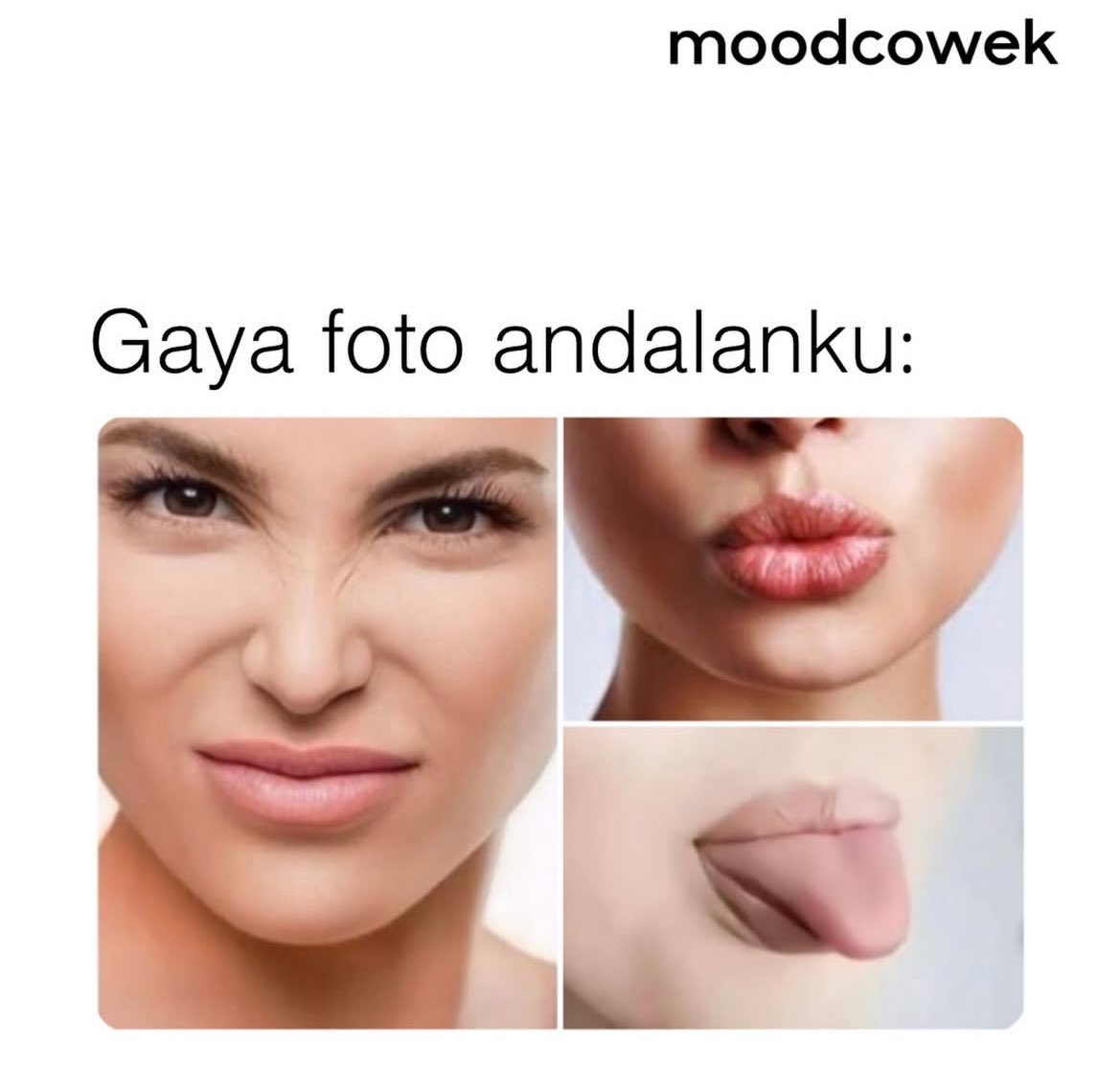 af_riysa.L tweet media