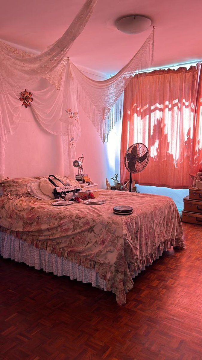 softly lightly tweet media