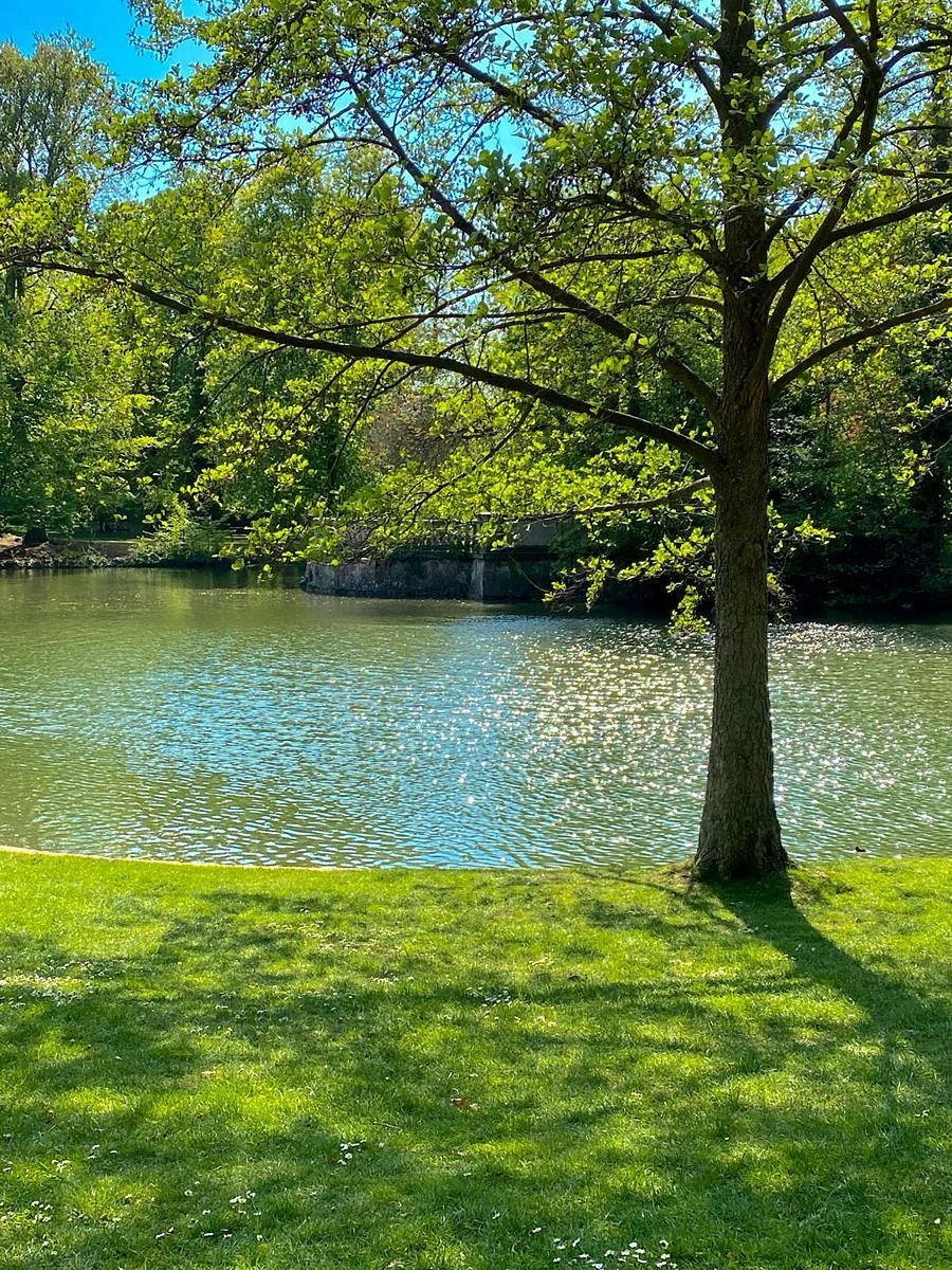 JONATHEN AMIN tweet media