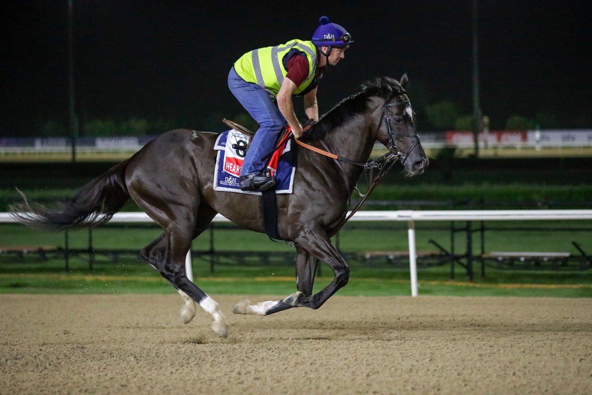 Dubai Racing Club tweet media