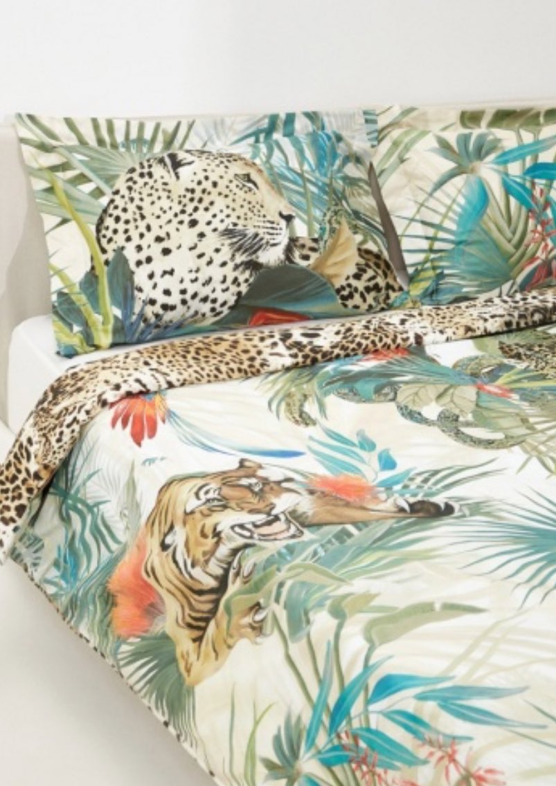 BAJA SDCS tweet media