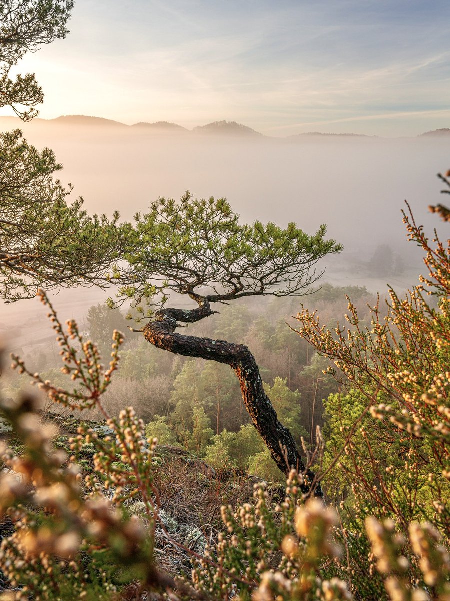 Cédrιc tweet media