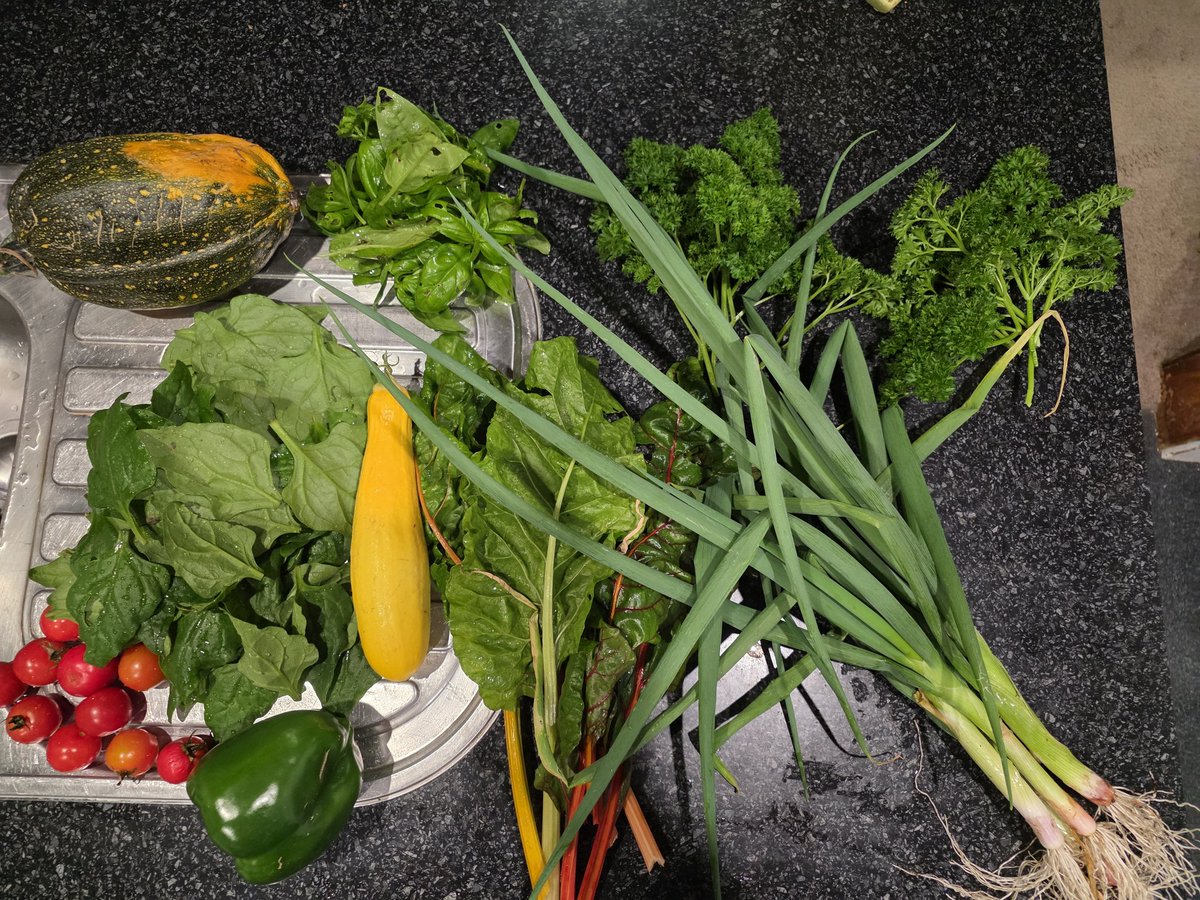 Shona Glentworth tweet media