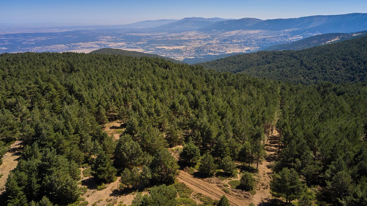 Naturaleza Castilla y León tweet media