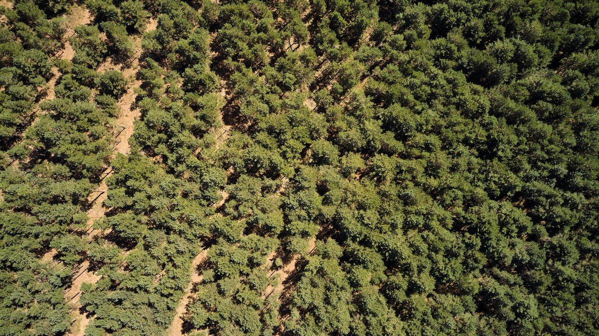 Naturaleza Castilla y León tweet media