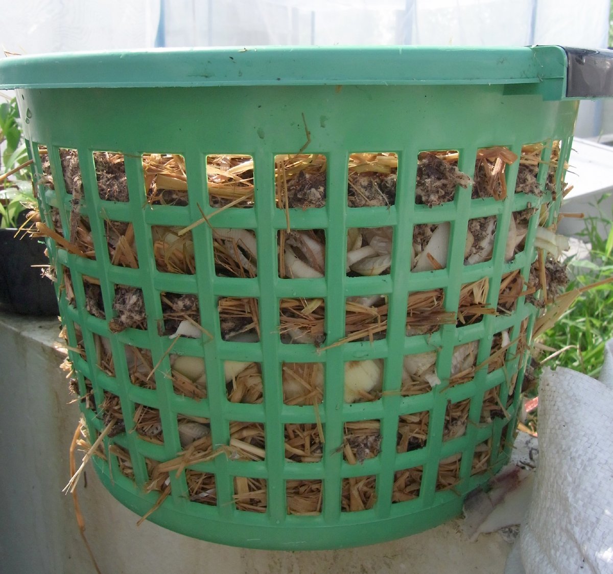 cyberAinews ข่าวธุรกิจ888 tweet media