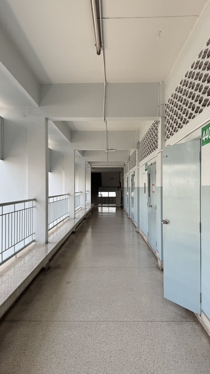 catto 1945 tweet media