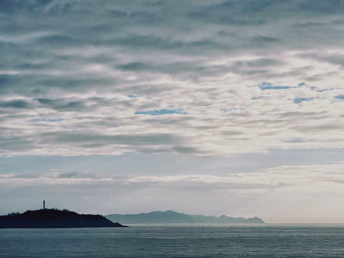 smith Di tweet media