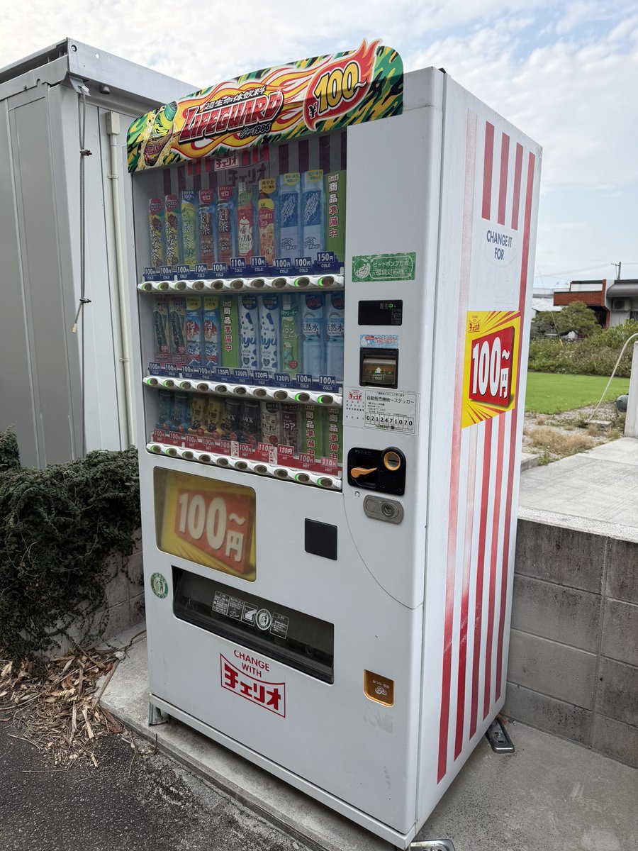 🌺🌴やんばるエクスプローラーズ🌴🌺【沖縄本島北部限定チャンネル】 tweet media