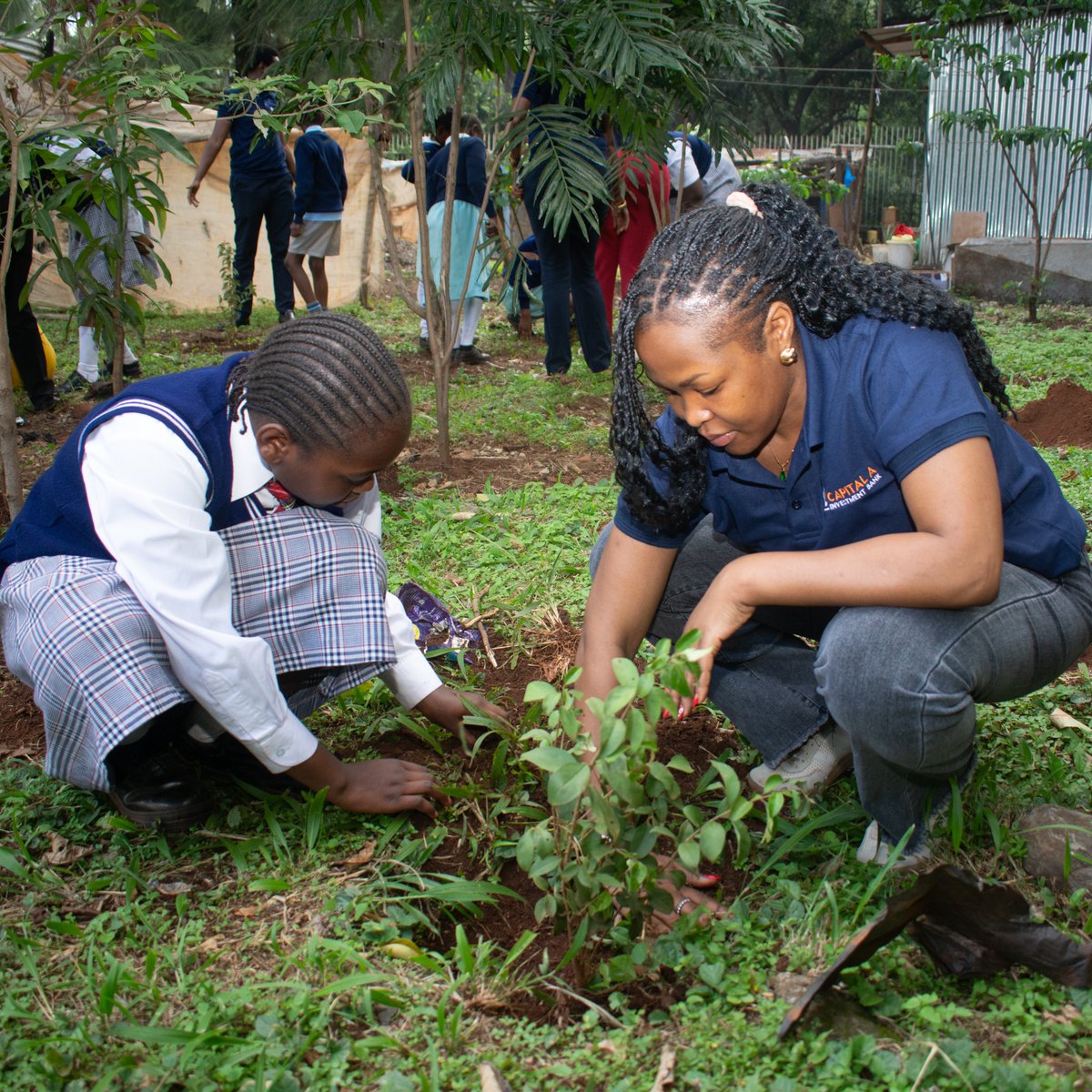 Capital A Investment Bank tweet media