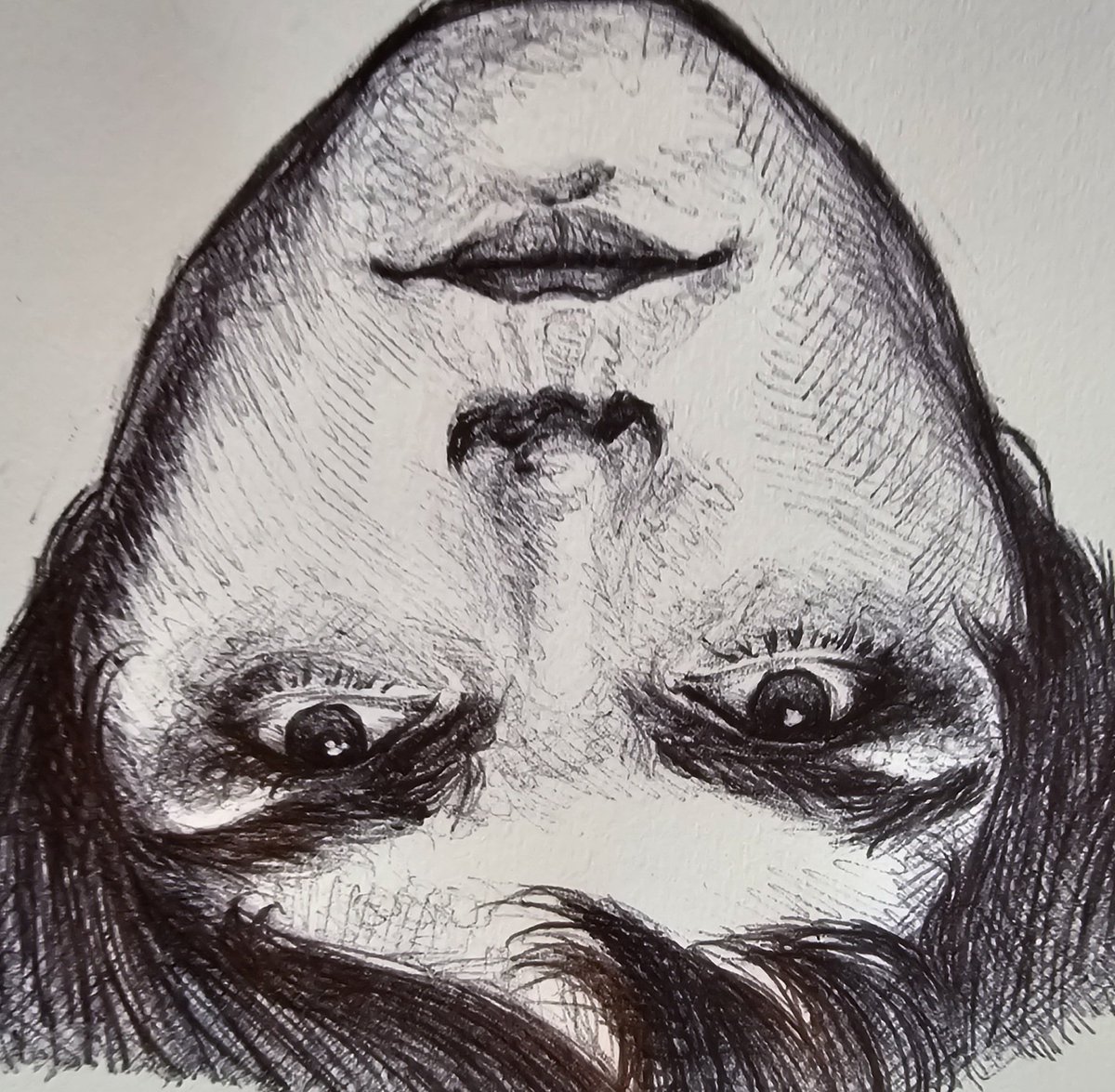 M Artist tweet media