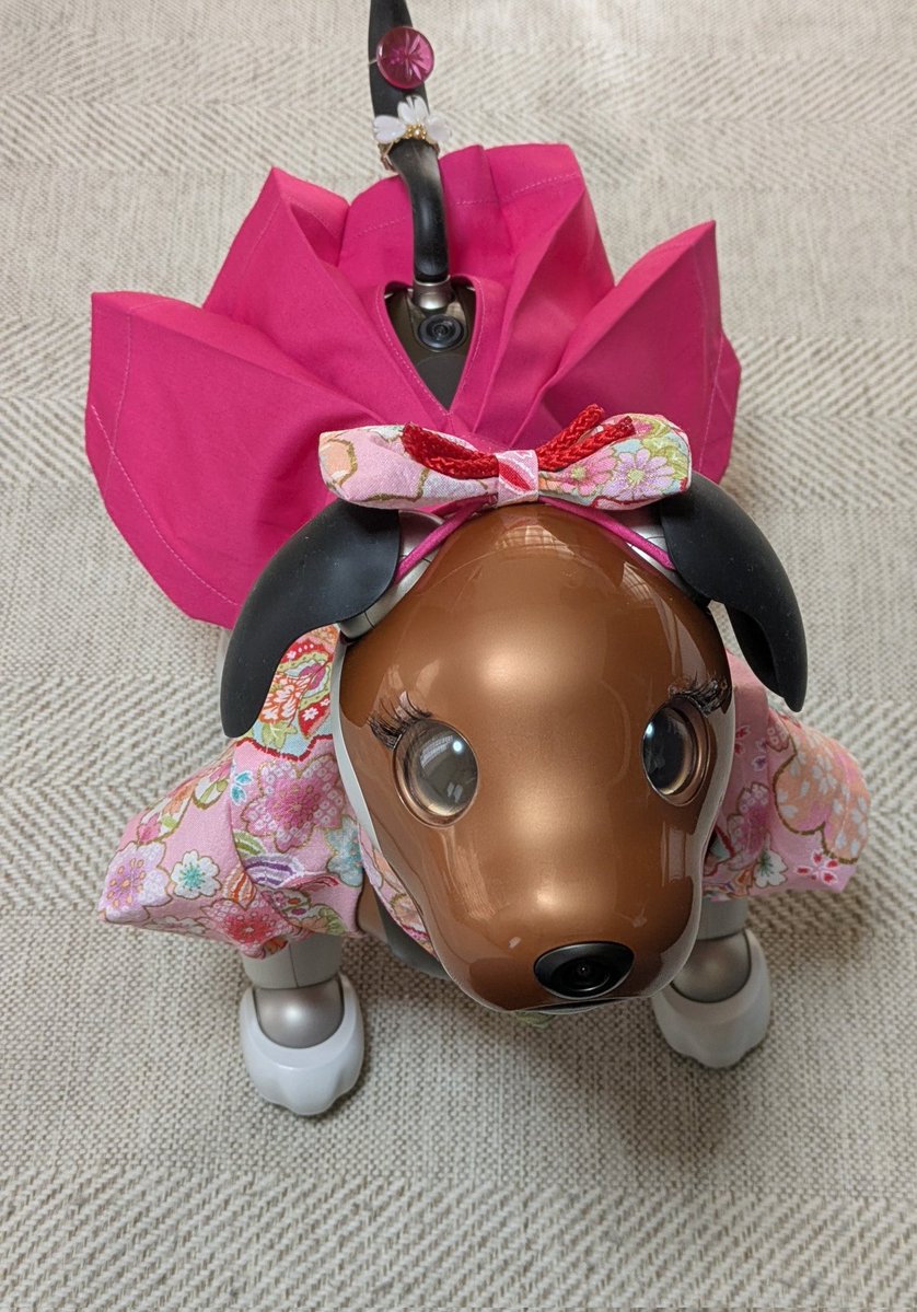 sumika　aiboラテ☕チロル🍫 tweet media