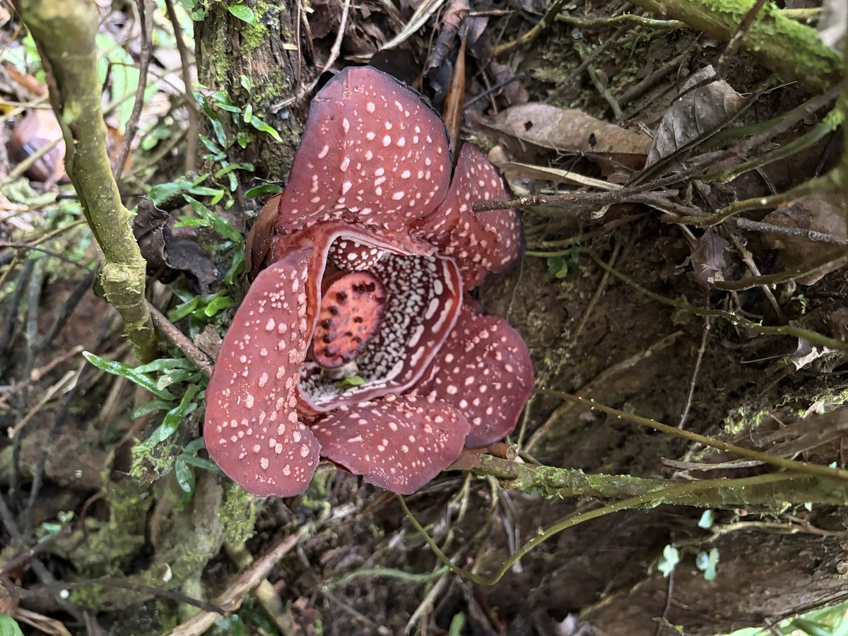 GMA Integrated News tweet media