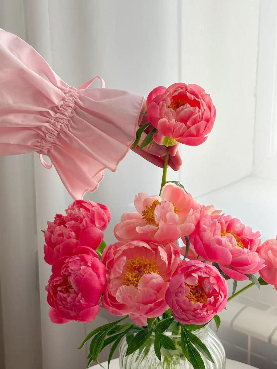 🌊🩵🇪🇬✨꧁ ۅډۅډ ꧂✨📚 tweet media